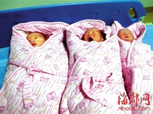 代生三胞胎-三胞胎代生之爱