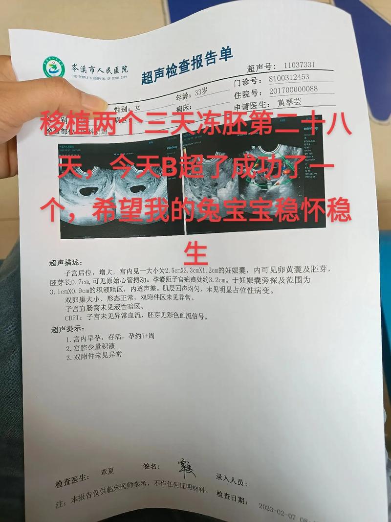 供卵试管代怀违法吗-供卵试管代怀违法吗？法律与道德的边界探讨