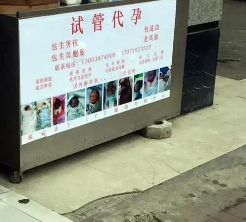 代生孩子电话【电话代生孩子：解密代孕产业链】