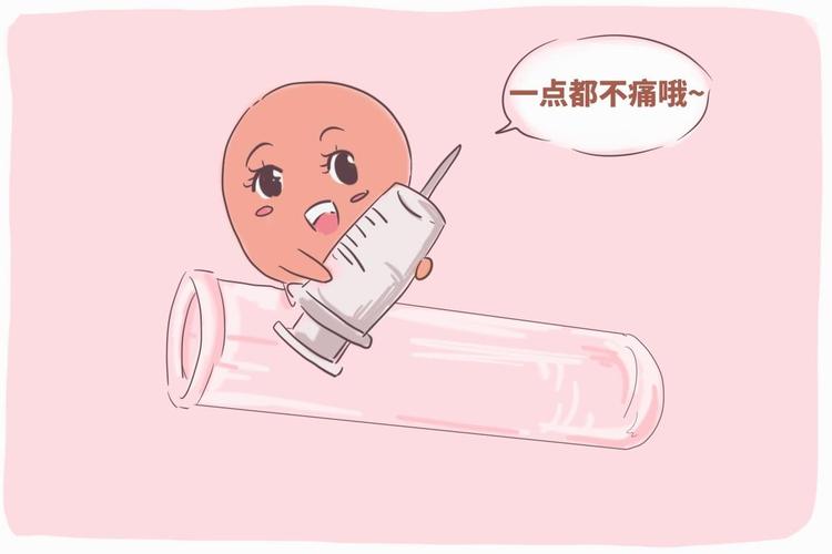 供卵试管代怀是什么-供卵试管代怀：解析未来生育选择