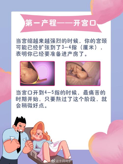 代生出来的孩子(代生宝贝:关于代生出来的孩子的故事)
