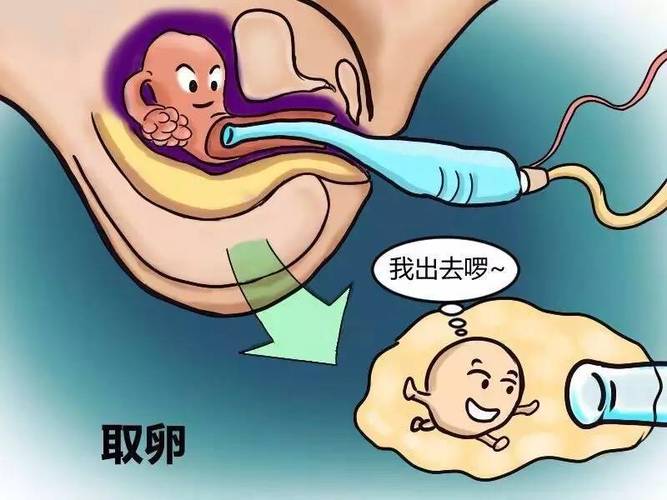 供卵试管代怀哪家医院好(供卵试管代怀哪家医院好,专家指导帮您选择最适合的医院)
