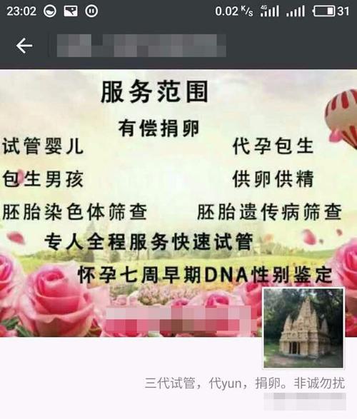 供卵试管代怀微信群(试管代怀微信群,共享供卵资源)