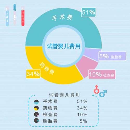 供卵试管代怀套餐_供卵试管代怀套餐:打造您的梦想家庭